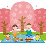 Hanami – Fiesta de los cerezos en el parque Yamaguchi